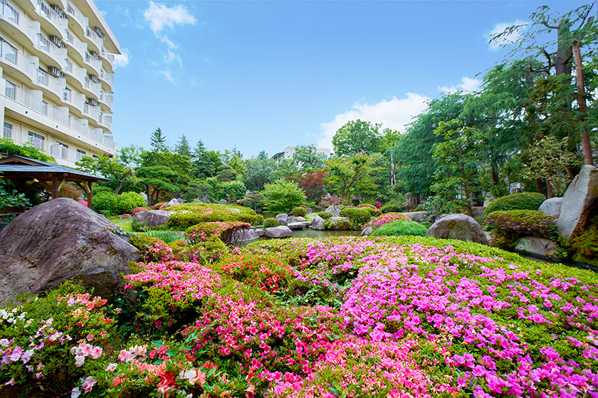 当館の魅力をご紹介！足湯とともに楽しめる日本庭園