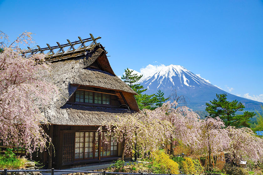 日本の原風景に触れる旅！「西湖いやしの里根場」で楽しむ和の時間