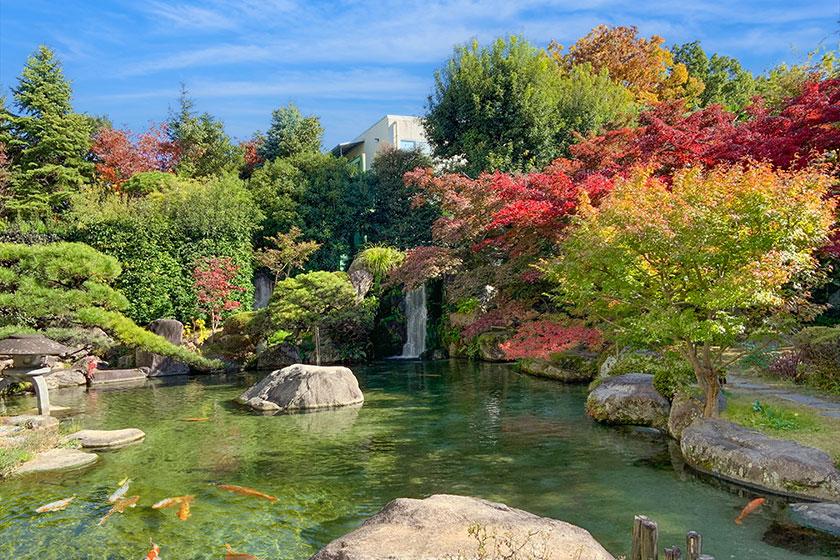 足湯に浸かりながら! ホテル新光の日本庭園で紅葉を楽しむ優雅なひととき