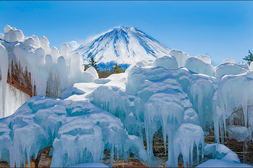 「2024西湖こおりまつり」冬の魔法、霧氷の楽園を見に出かけよう
